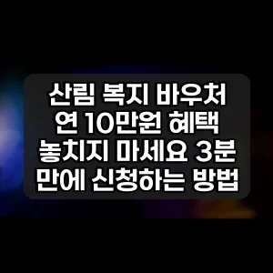 산림 복지 바우처 | 연 10만원 혜택 놓치지 마세요 3분 만에 신청하는 방법