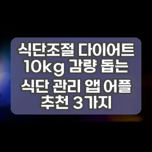 식단조절 다이어트 10kg 감량 돕는 식단 관리 앱 어플 추천 3가지