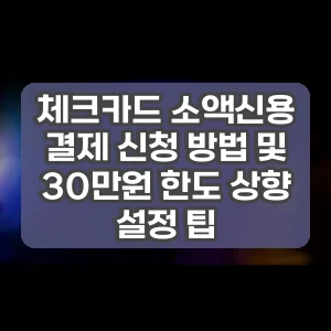 체크카드 소액신용 결제 신청 방법 및 30만원 한도 상향 설정 팁