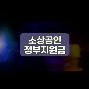 소상공인 정부지원금