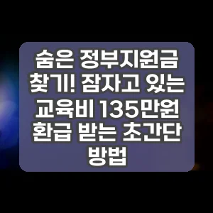 숨은 정부지원금 찾기! 잠자고 있는 교육비 135만원 환급 받는 초간단 방법